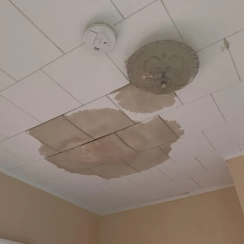 Ceiling Water Damage Repair in Kenmare, ND