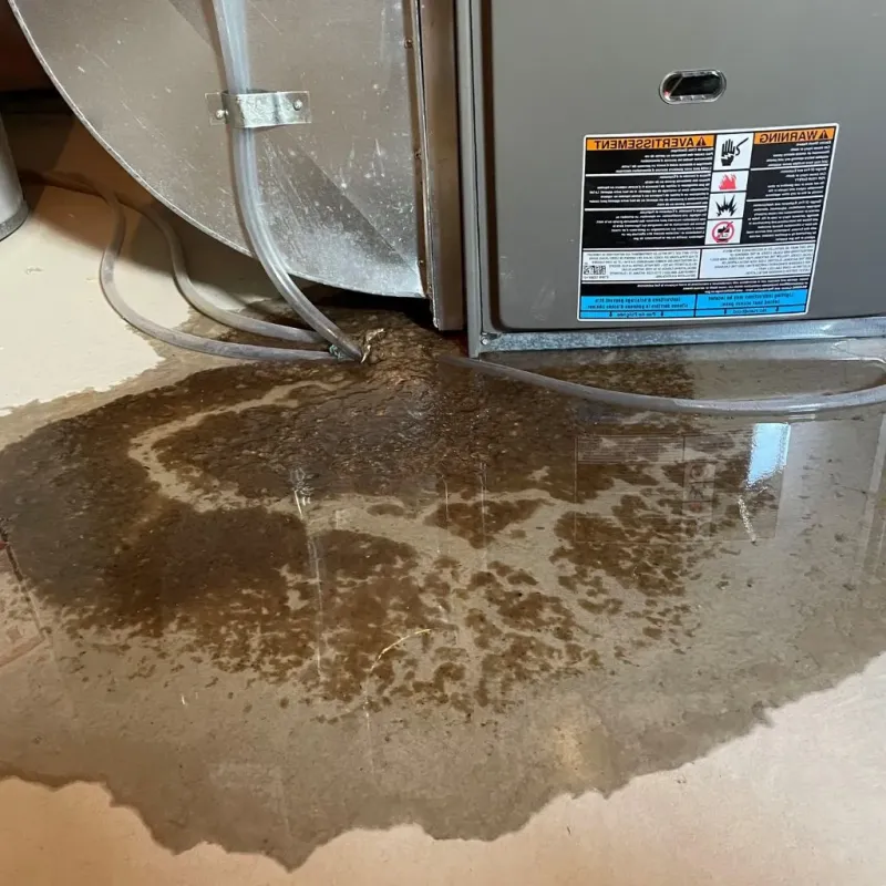 Pipe Burst and Leak Restoration in Kenmare, ND